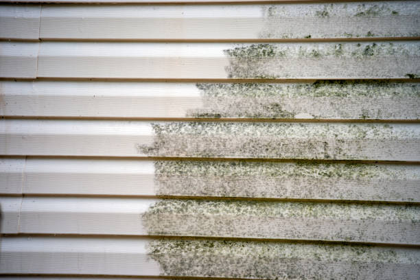 Affordable siding repair and maintenance services in Gardere, LA