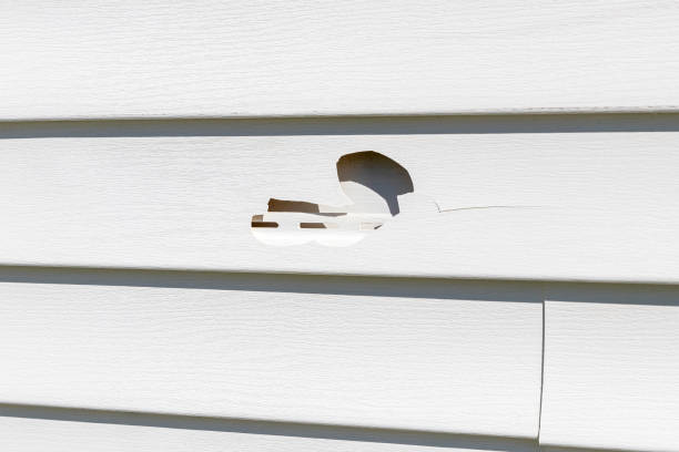 Best Siding Removal and Disposal  in Gardere, LA