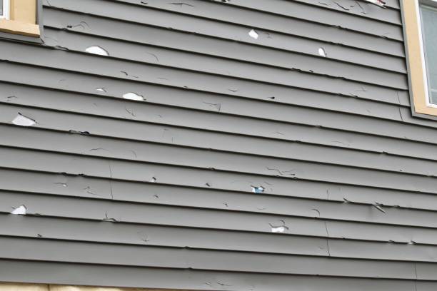 Best Historical Building Siding Restoration  in Gardere, LA